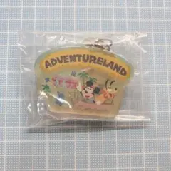東京ディズニーランド キーチェーン アドベンチャーランド
