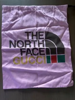 THE NORTH FACE GUCCI 巾着袋 保存袋 THE NORTH FACE GUCCI 巾着袋 保存袋 - メルカリ