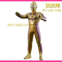 2025年最新】グリッターティガの人気アイテム - メルカリ