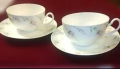 新春セール ヴィンテージ Noritake 可憐な薔薇の C&S2点