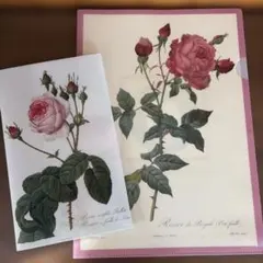 Item thumbnail for item 6eead90f-2e4c-4f97-844b-6c8962700cc3