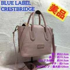 【✨美品✨】ブルーレーベル　ショルダーバッグ　オールレザー　シボ革　レディース