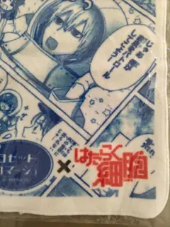 Item thumbnail for item 66735545-1f2f-45b6-9112-e4997549d6af