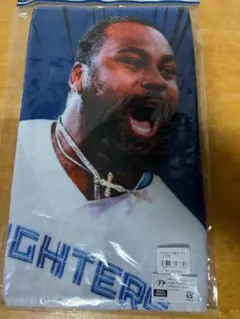 Item thumbnail for item 0790cfa4-60c3-403b-8b4e-45ecca243265