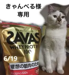 きゃんべる様　専用