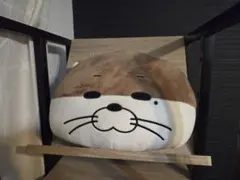 2026年最新】BBNEXDO クッションの人気アイテム - メルカリ