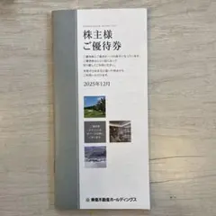東急不動産ホールディングス株主優待券 1000～5000株未満
