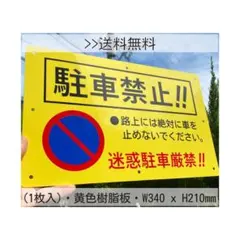 Item thumbnail for item 0ad40a66-7829-480e-bc9f-1a7b81ee07aa