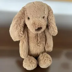 【ほぼ未使用】jellycat Toffee Puppy Sサイズのサムネイル
