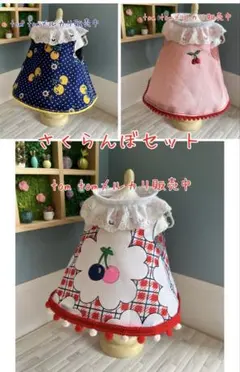 Item thumbnail for item 420cb712-1e4d-472e-9afb-96f373bd2d77