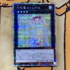 遊戯王　六花聖ストレナエ　プリズマ　プリシク　1枚