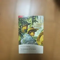 The adventure of Tom Sawyer