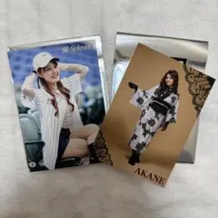 千葉ロッテマリーンズ M☆Splash!! AKANE セット