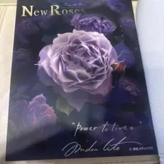new roses special edition for 2025