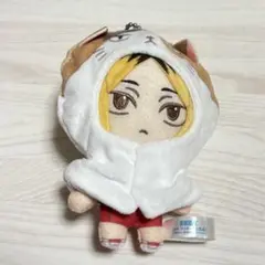 孤爪研磨 ぬいぐるみ