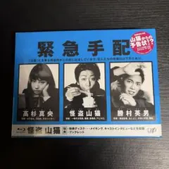 亀梨和也 成宮寛貴 広瀬すず 怪盗山猫 初回限定DVD-BOX 新品未開封