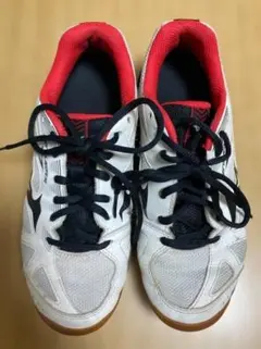 Mizuno バドミントンシューズ スカイブラスター　24.0のサムネイル