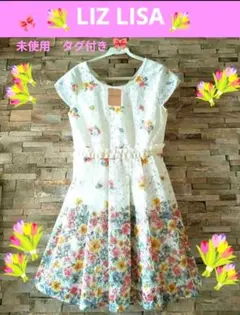 LIZLISA♡パフスリーブ半袖 花柄 刺繍コットン ミニワンピース 姫系