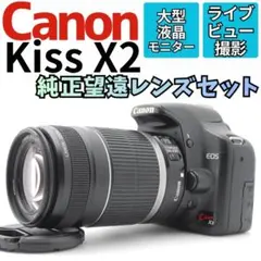 Nikon P510❤️野球や月の撮影に❤️超望遠1000mm❤️スマホに写真転送