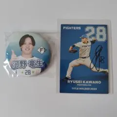 北海道日本ハムファイターズ #28河野竜生 缶バッジ＆プロ野球チップスカード