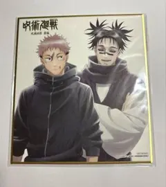 呪術廻戦 死滅回游 前編 アニメイト 全巻購入 特典 虎杖悠仁 乙骨憂太