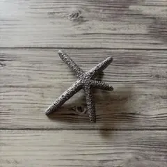 Item thumbnail for item 25596596-7097-432c-acec-f97f90125494