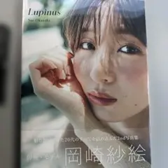 岡崎紗絵 タレント写真集