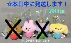 【 チェゴシム　P-PATCH！ マスコット 『 2種セット 』】