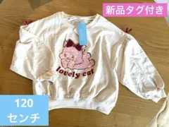 Item thumbnail for item 12430cbd-f649-41c3-8127-586f9b5af8c8