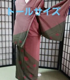 15-8袷　正絹　付け下げ　おしゃれな八掛け　煉瓦色