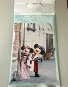 東京ディズニーリゾート　イマジニングザマジック　コレクションカード