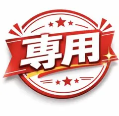 カール様 リクエスト 3点 まとめ商品