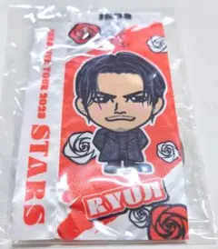 今市隆二 ミニのぼり STARS