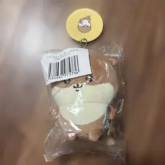 ナガノのくま ナガノのカワウソ ぬいぐるみくじ D賞 マスコット