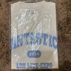 FANTASTICKS LDH LIVE EXPO Tシャツ Mサイズ
