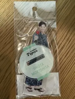 Item thumbnail for item 4858197f-8906-4f51-9192-91d9d776be5f