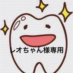 レオちゃん様専用ページ 歯ブラシ P20M