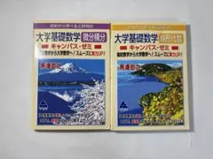 大学基礎数学 キャンパス・ゼミ 2冊セット 微分積分 線形代数