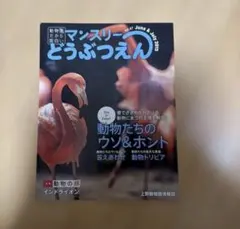 Item thumbnail for item 413e9348-e983-45de-a96c-38b82be43f7c