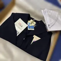 Item thumbnail for item 60f6f701-7d13-4785-95d5-954fdaecd96b