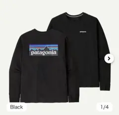 【美品】patagonia ブラック 長袖 Tシャツ