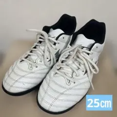 ミズノ モナルシーダ NEO 3 SELECT AS 25.0