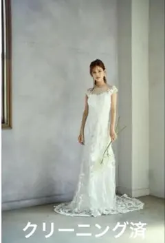 【クリーニング済】【値下げしました】ウェディングドレス　W284