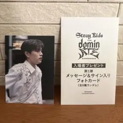 Stray Kids 映画特典カード　スンミン