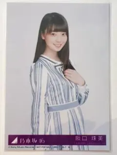 シンクロニシティ 阪口珠美 封入生写真 ヒキ