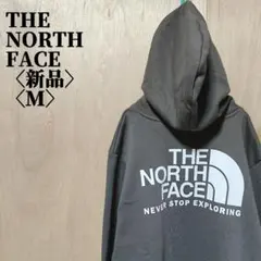 4/6 新品 EVO THROWBACK HD ノースフェイス パーカー M
