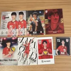 バレーボール男子日本代表 西田有志 選手 トレカ mini色紙セット