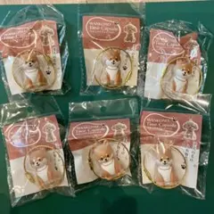 わんこのタイムカプセル　愛犬の毛の入れ物　まめ　柴犬　6個