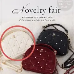 ワンアフターアナザーナイスクラップ ノベルティフェア限定 ショルダーバッグ