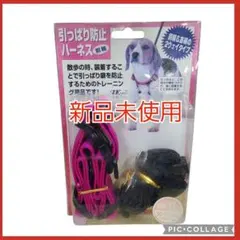 数量限定 在庫限り 新品未使用 超大型犬用 引っ張り防止ハーネス 即日発送しつけ